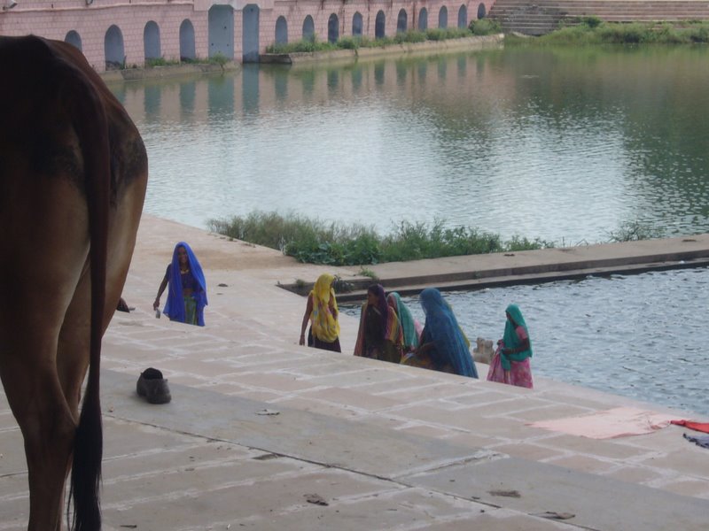 Travel - India - Rajasthan - Pushkar - Streets and People
